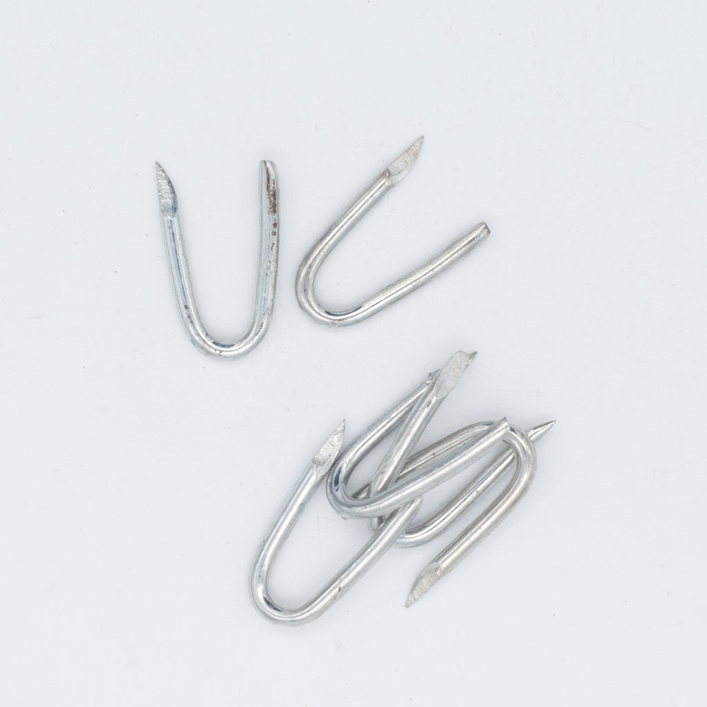 Challenge 25mm Galvanised Netting Staples