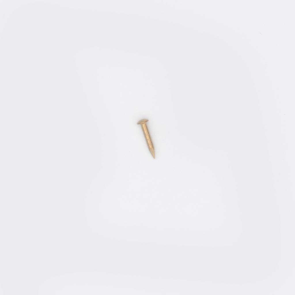 10mm Solid Brass Escutcheon Pins (Dome head nails) - 30g
