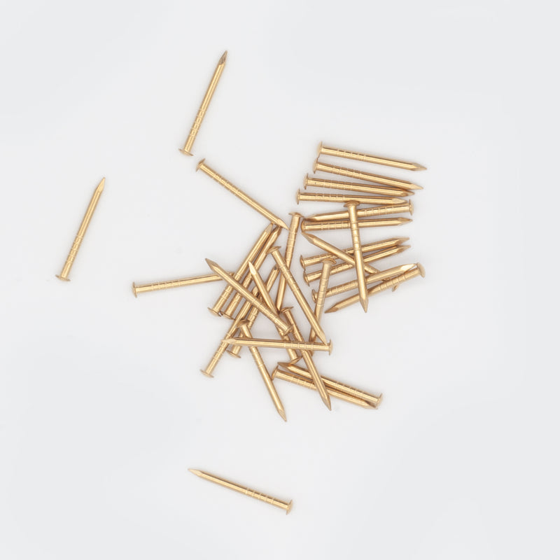 20mm Solid Brass Escutcheon Pins (Dome head nails) - 30gm
