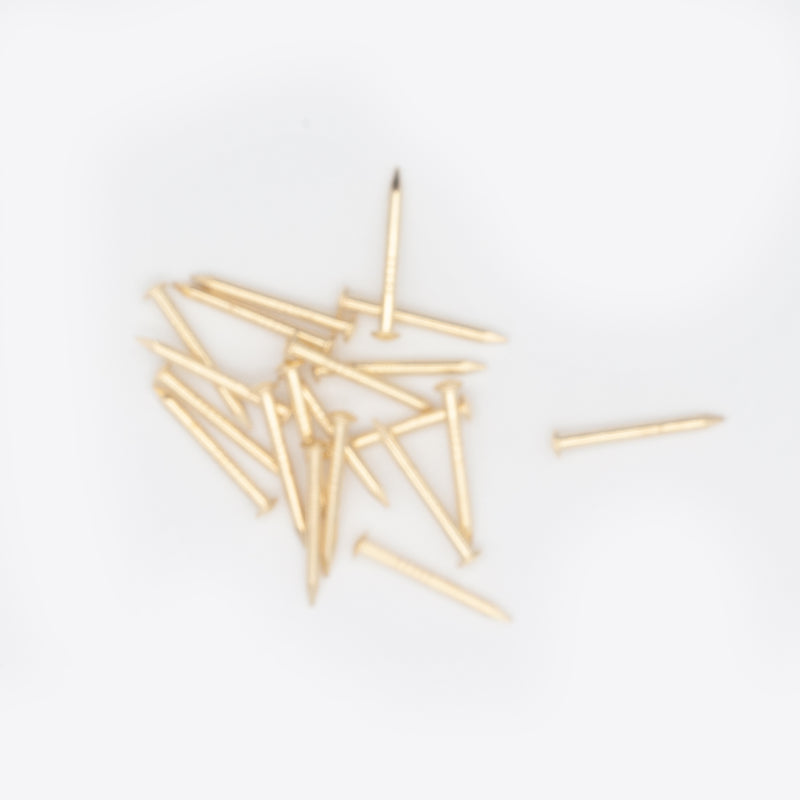 20x1.80mm Brassed Escutcheon (Dome head) Pins