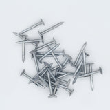 30 x 2.65mm Clout Nails - 225g