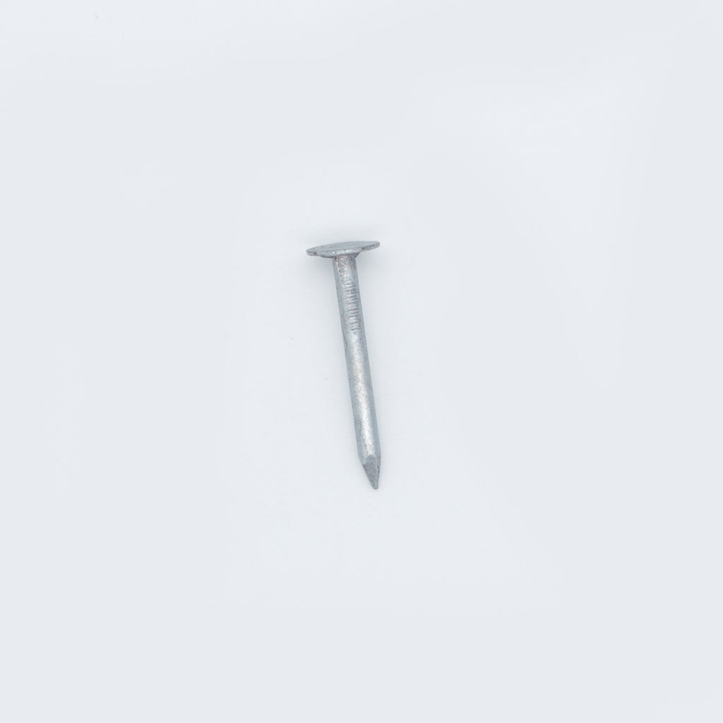30 x 2.65mm Clout Nails - 225g