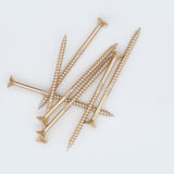 6.0 x 100mm High Performance Screw