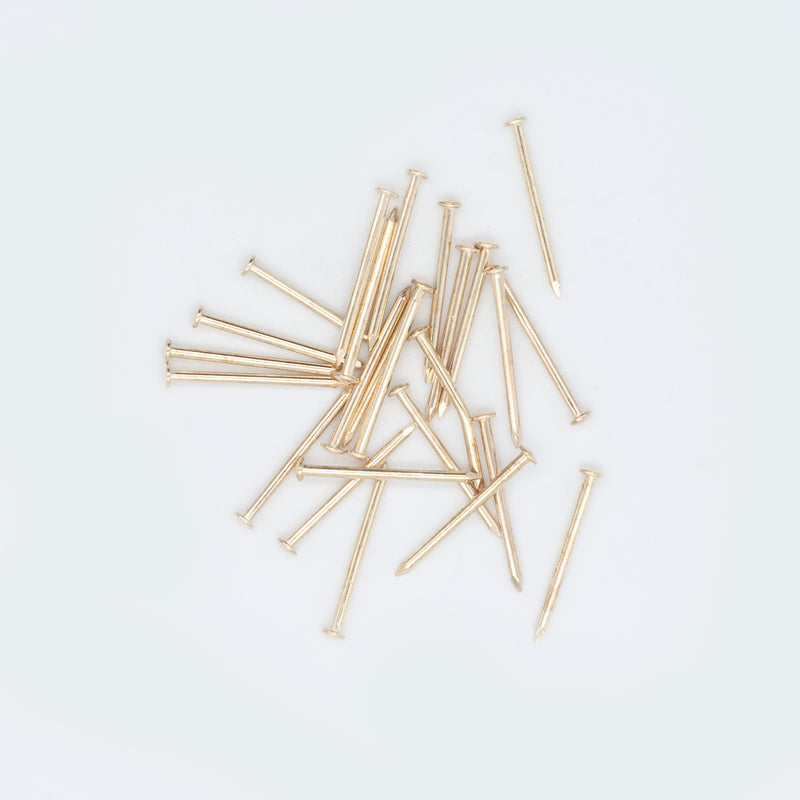 Steel Picture Pins EB-Box of 100