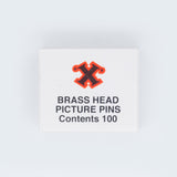 Brass Head Picture Pins