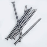 125x5.60mm Round Wire Nails-1kg