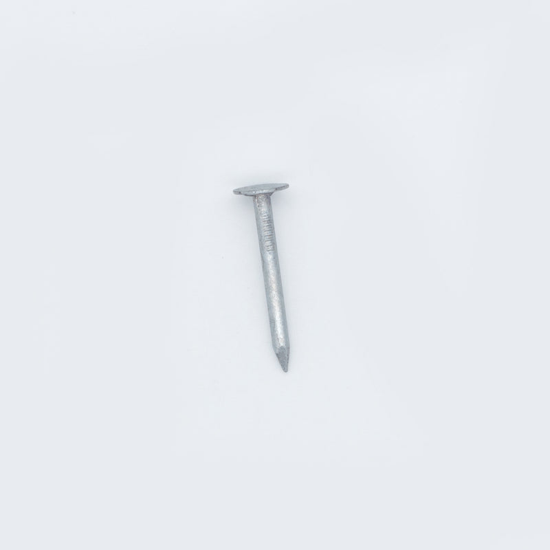 30x2.65mm Clout Nails-1kg