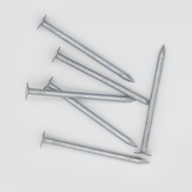 Challenge 65mm Galvanised Clout Nails